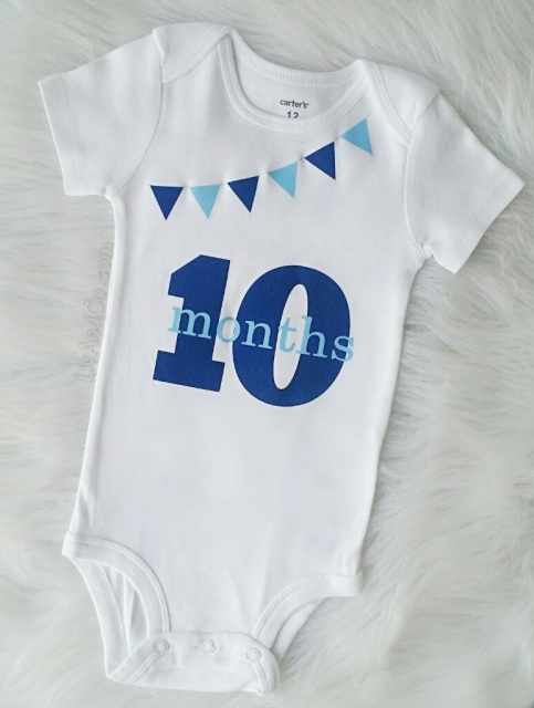 Baby Boy Monthly Milestone Outfit - Boy Baby Shower Gift